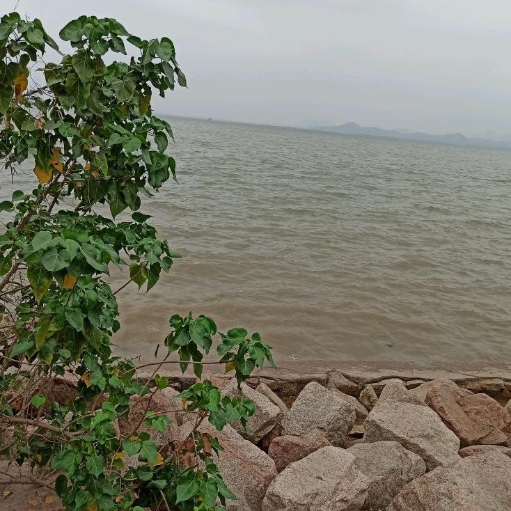 @满山红叶（文字+音乐🎶）