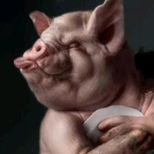 亿只🐖