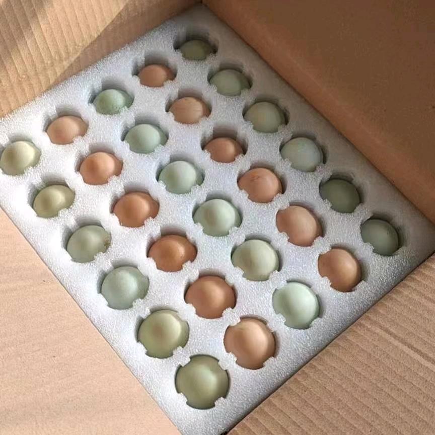 恒泰土鸡