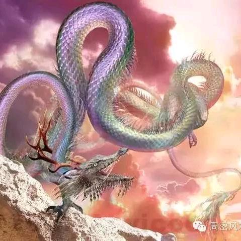 无双公子