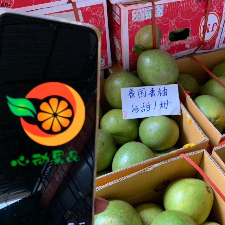 张记～心动果品