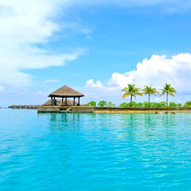 阳光灿烂的日子