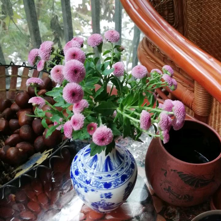 骆姐