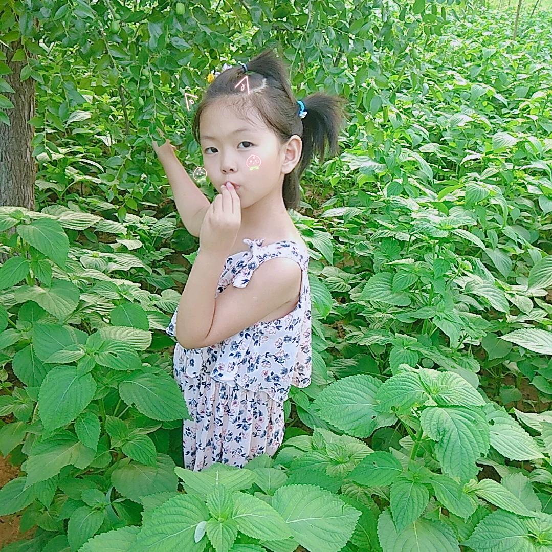 悠悠冰蝶