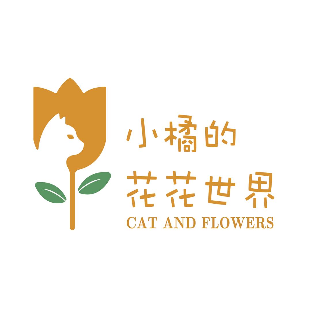 小橘的花花世界