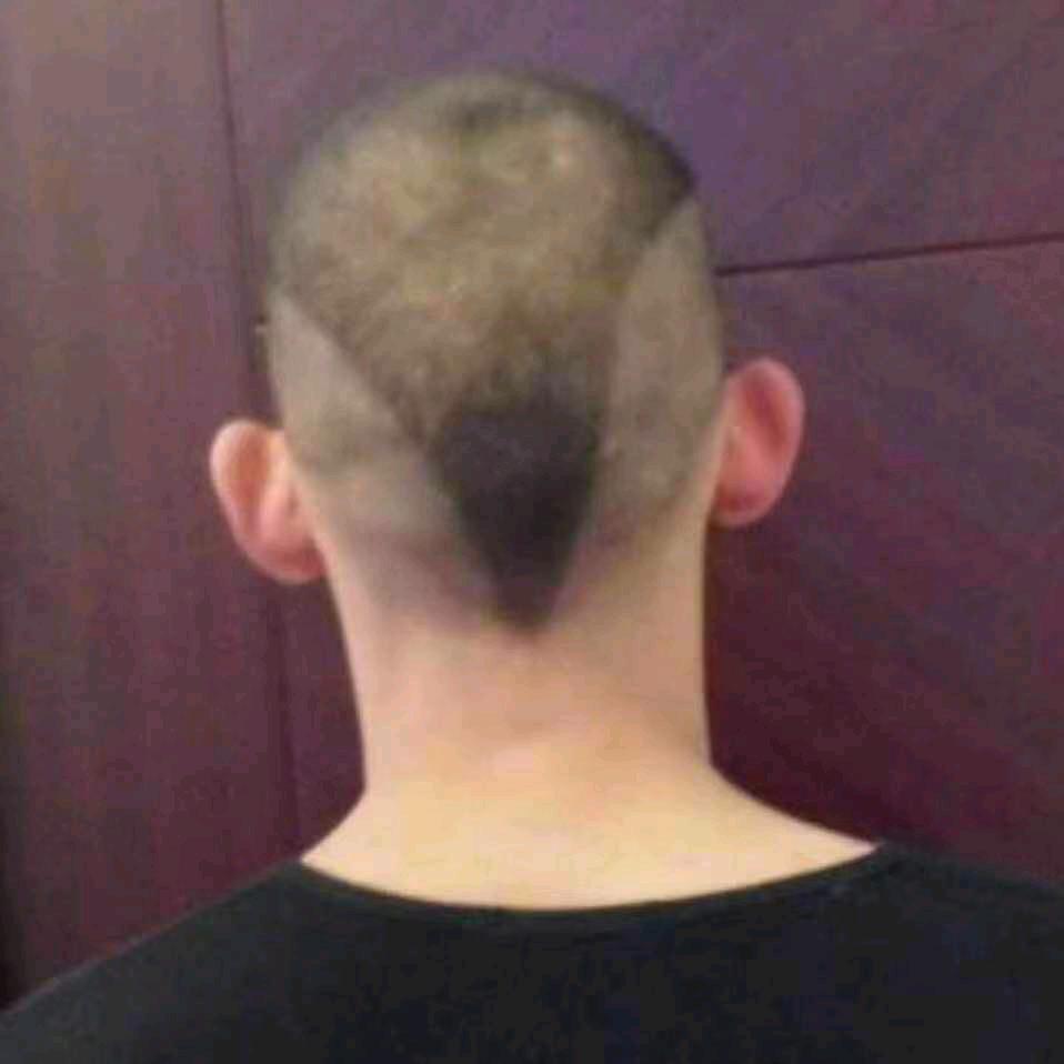 杨懂