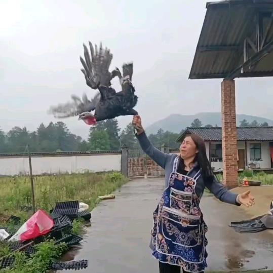 金益苑餐厅（欢欢）