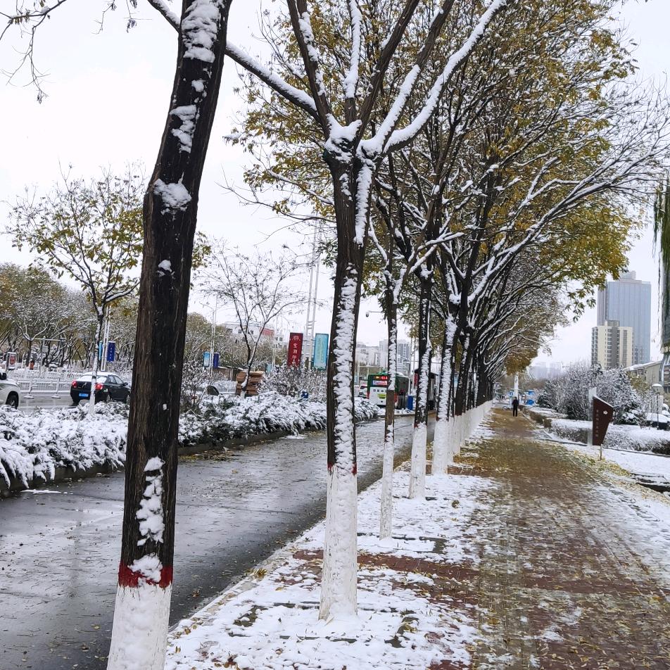 事叶有成，一叶暴富