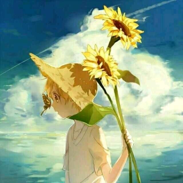 青山绿水