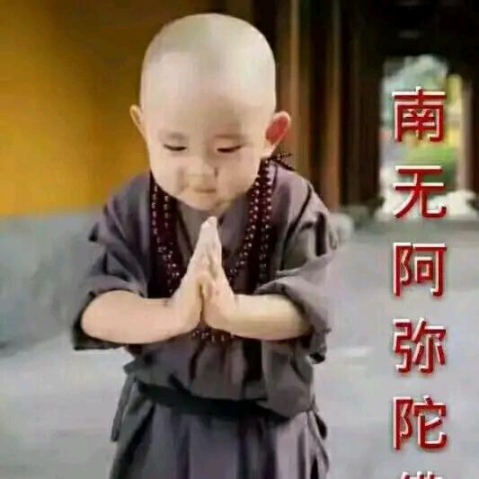 龙行天下🐉🐉