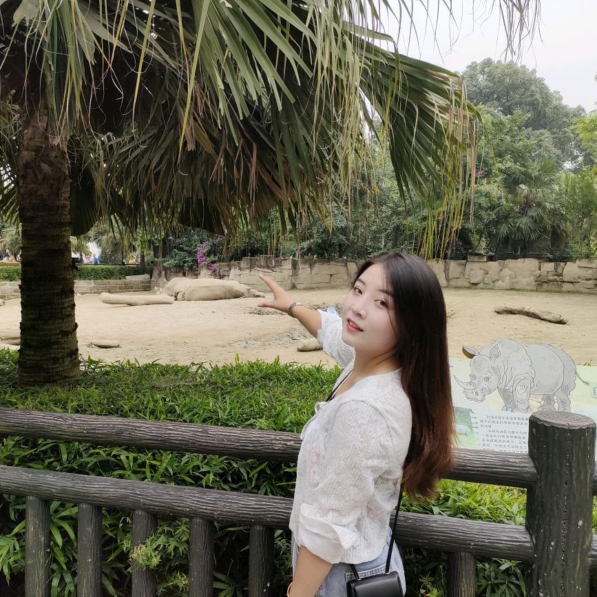郑圆圆