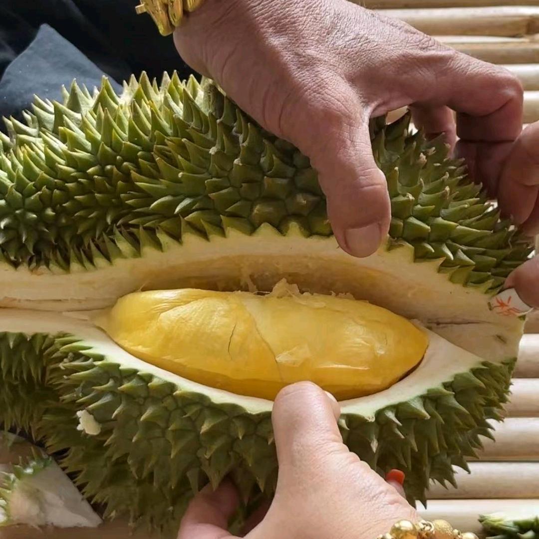 喆哥在泰国