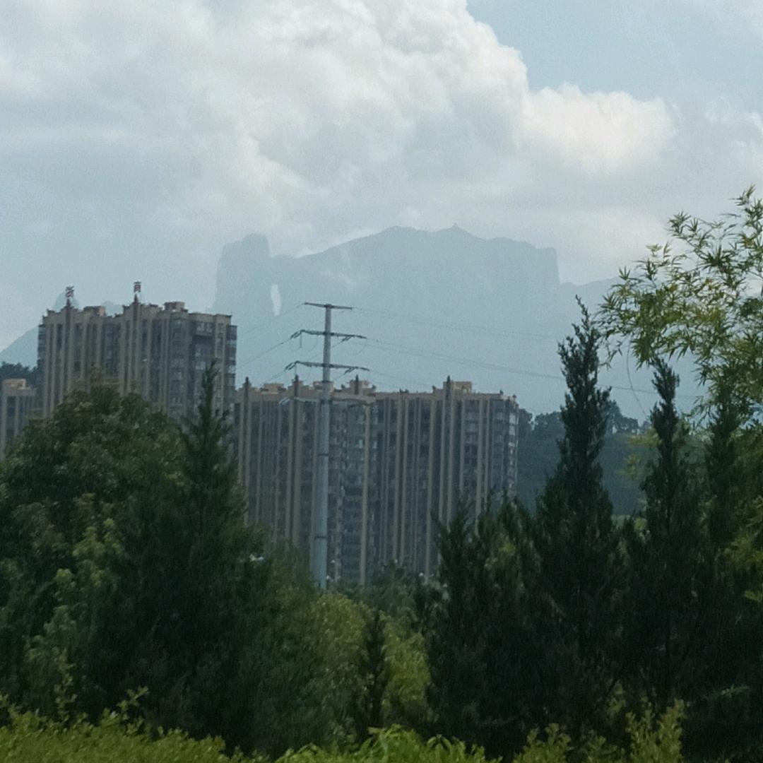 豆子豆啊