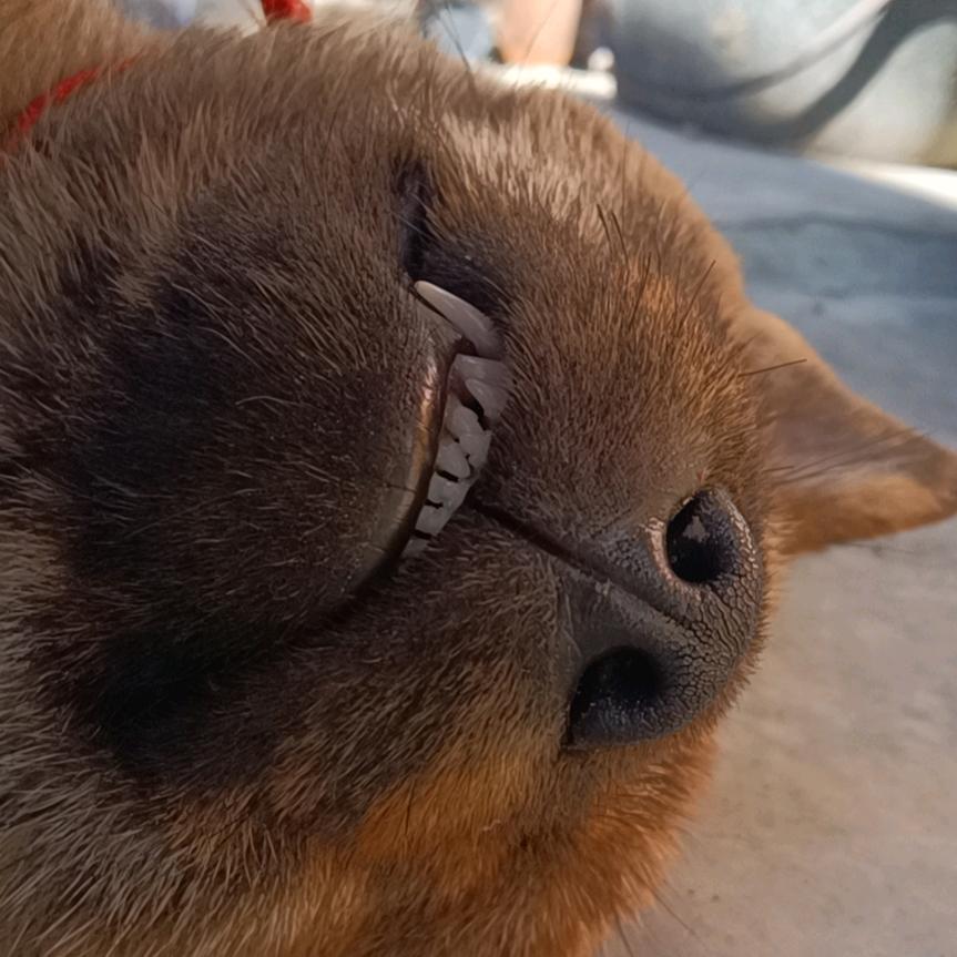 @ꩵ草冒哥℘⸙