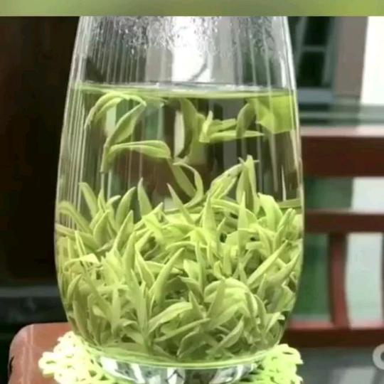 安吉紫薇白茶老肖