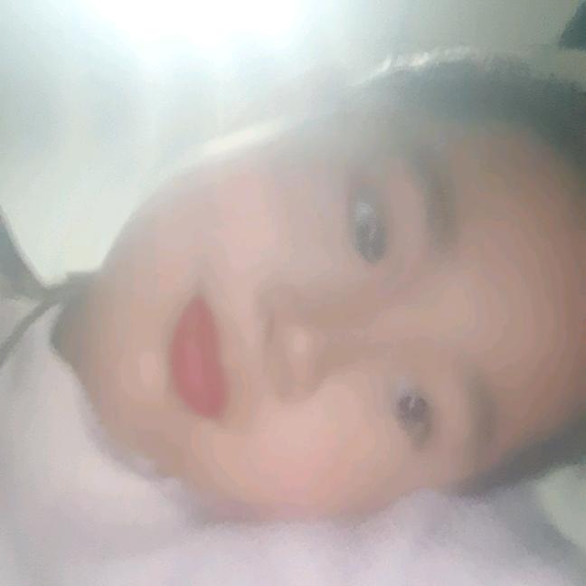 飞梦少女美乐蒂
