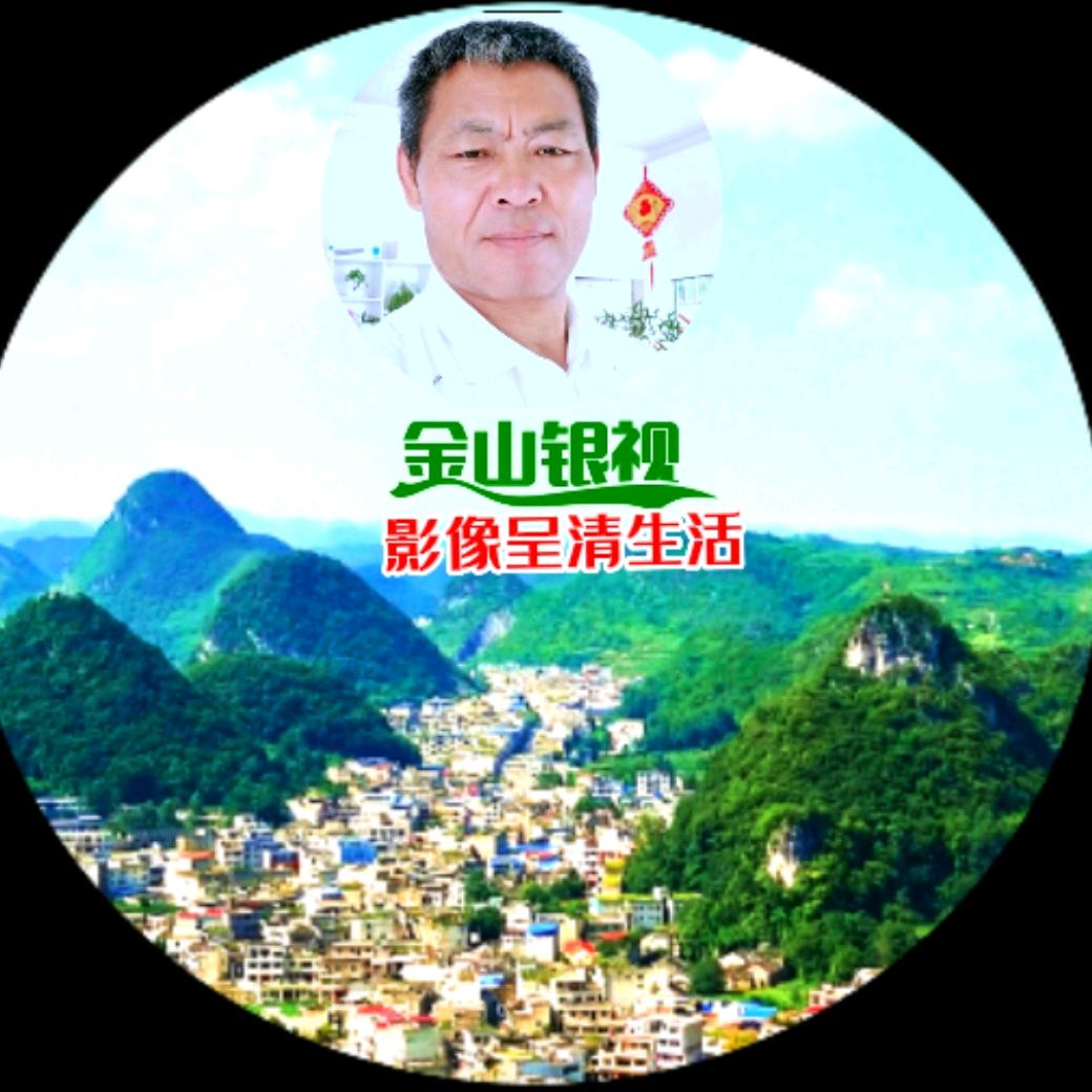 金山银视