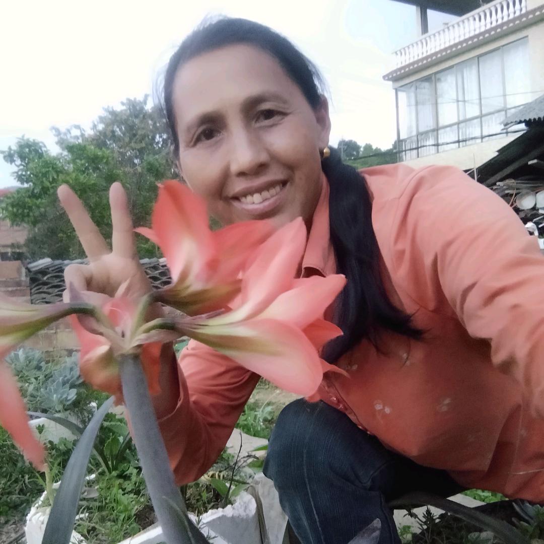 荷塘花