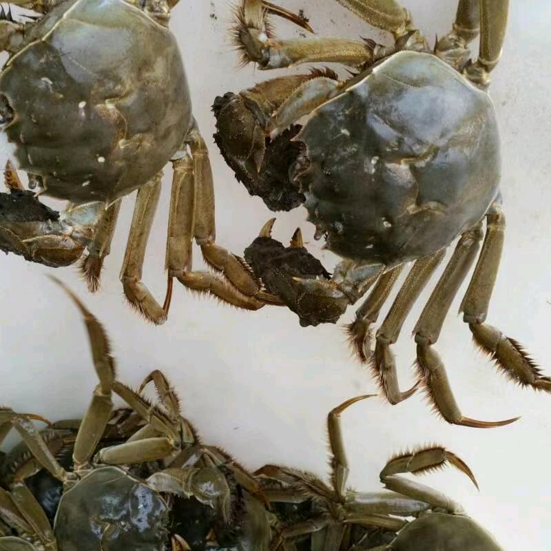 江哥ktgcsdv Jfdnnnptf