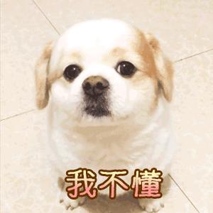 红豆豆⊙∀⊙