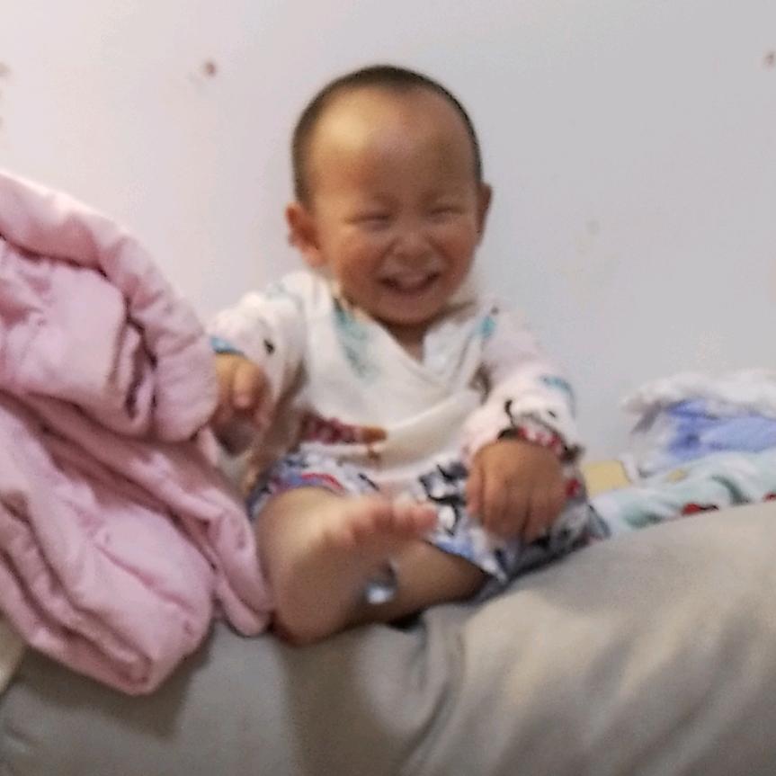 阳光下的一颗树