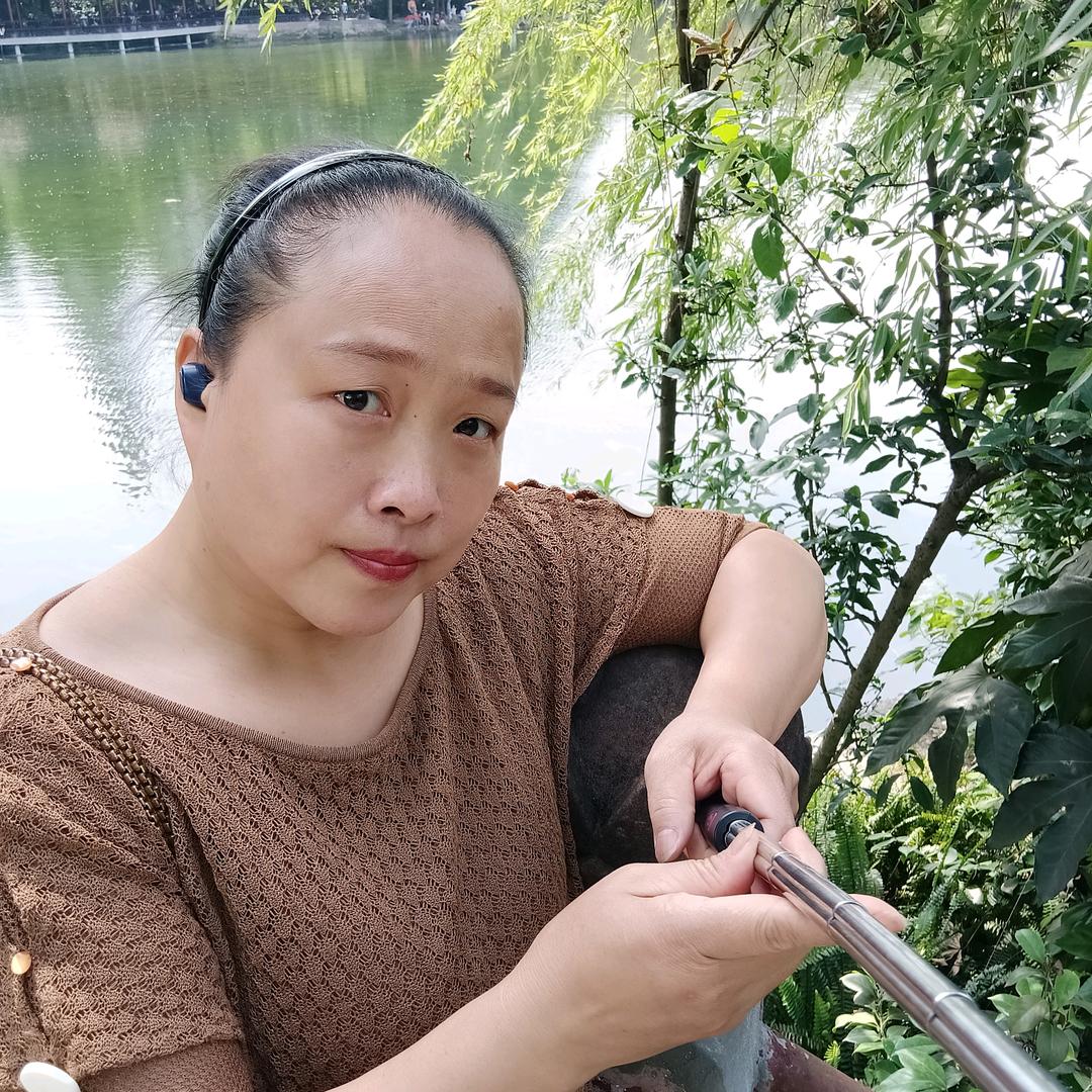 掉队的小蚂蚁