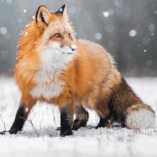 样洞村三组梁正余