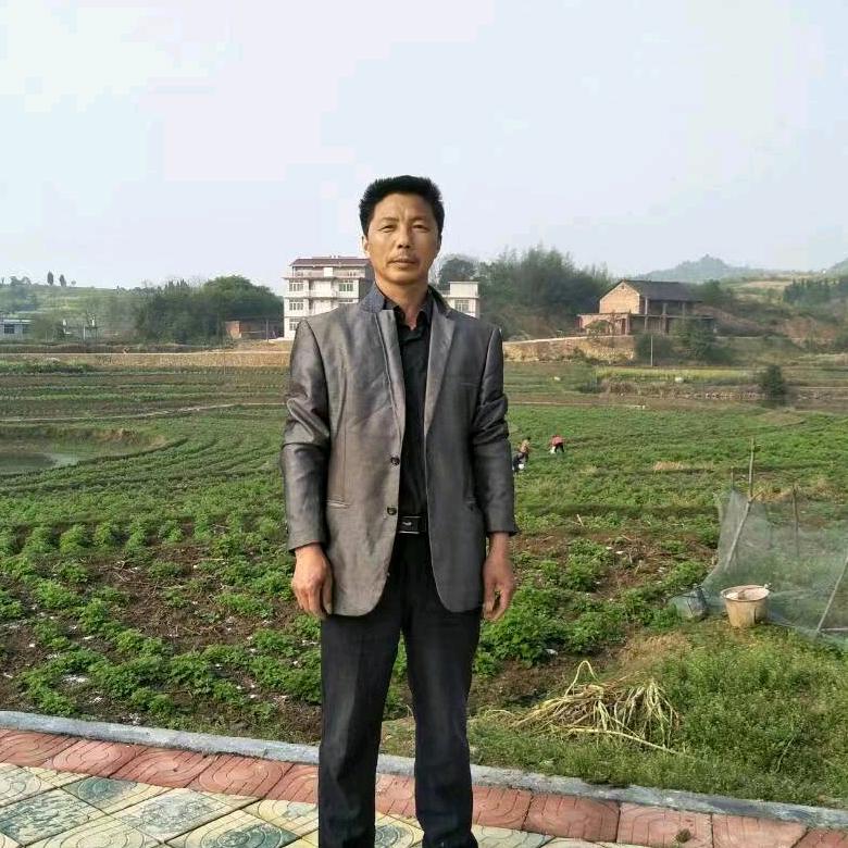 陈明初