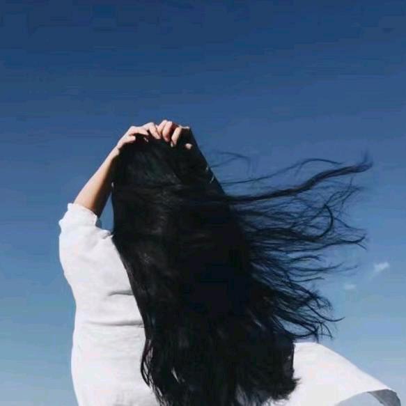 芯宝