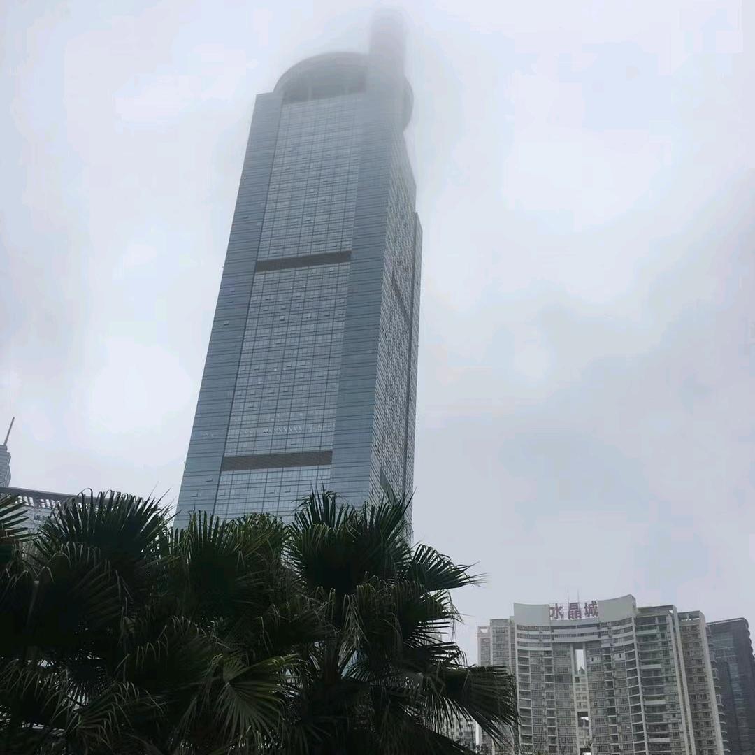 王涛