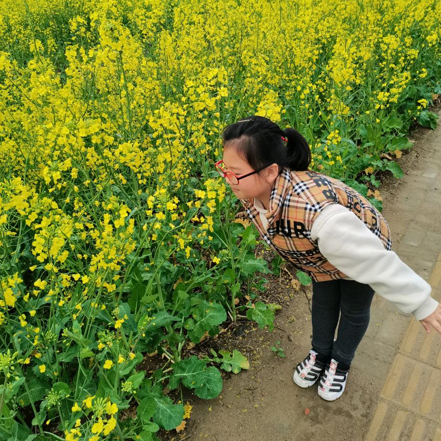 韩爷