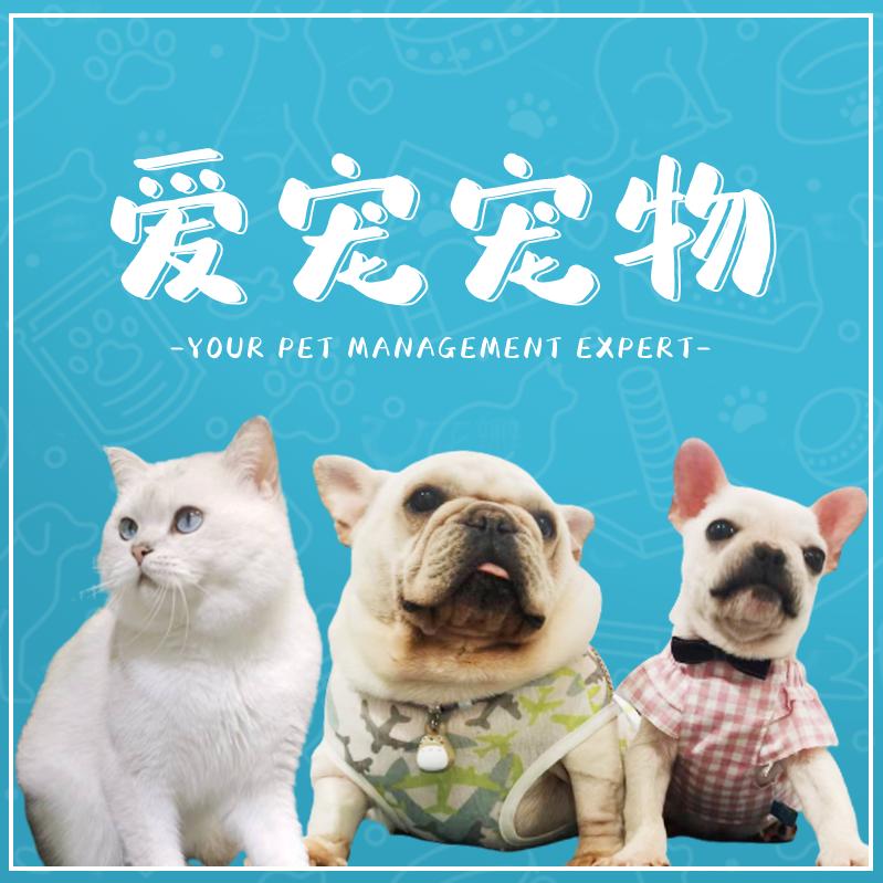 被狗追的副店长