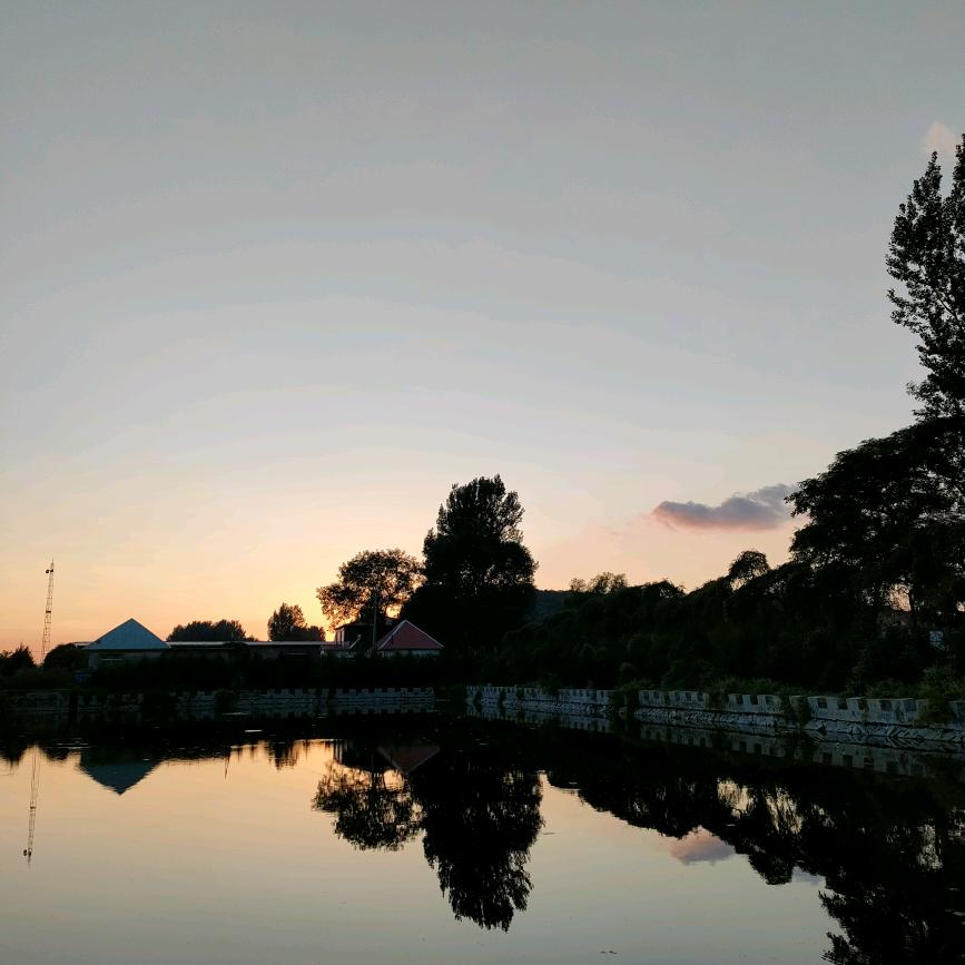 小咪是个掉毛怪₍˄·͈༝·͈˄*₎◞ ̑