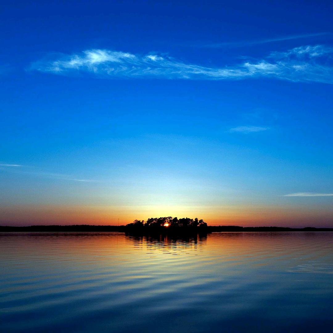 (ง •̀_•́)ง以李服人