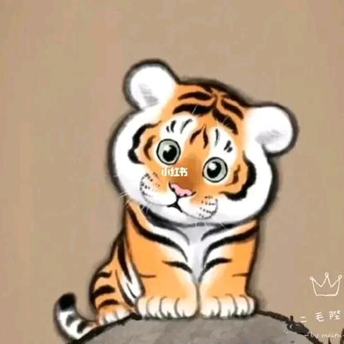 一只小老虎🐯