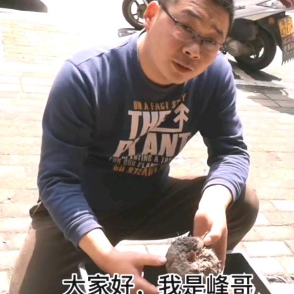 中溪河山杂