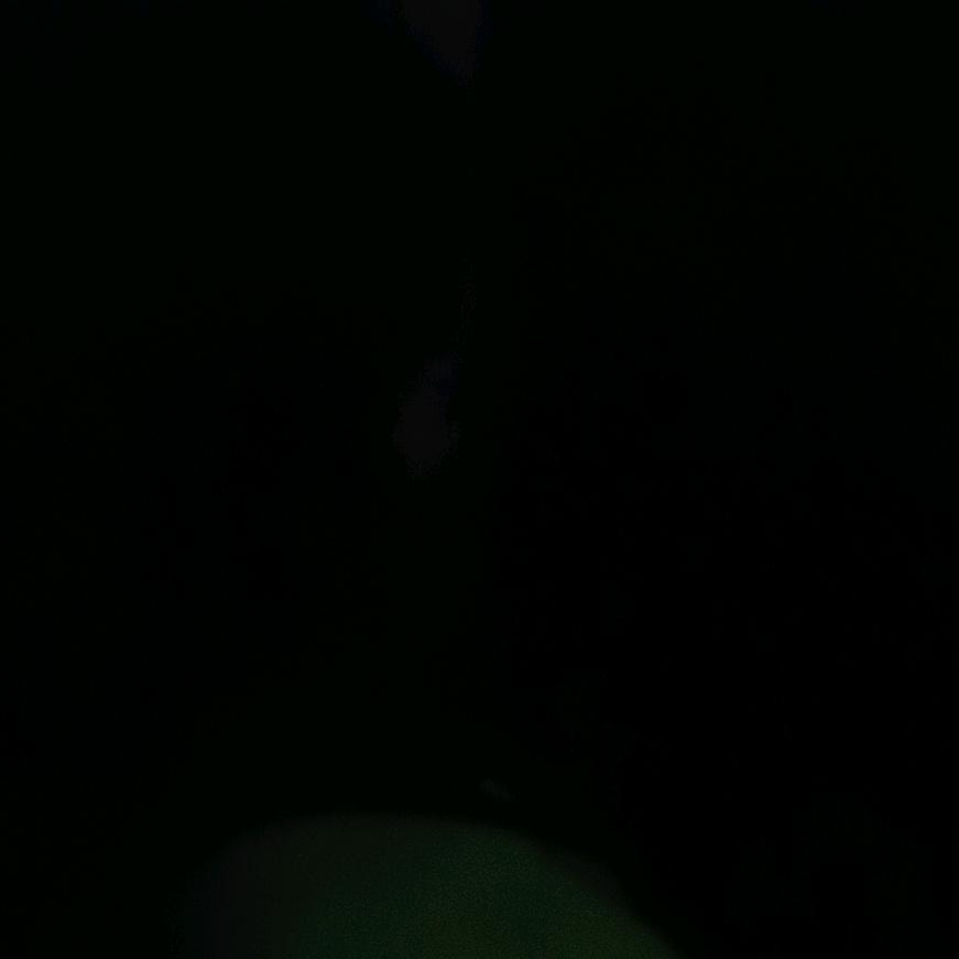 苦酒折柳