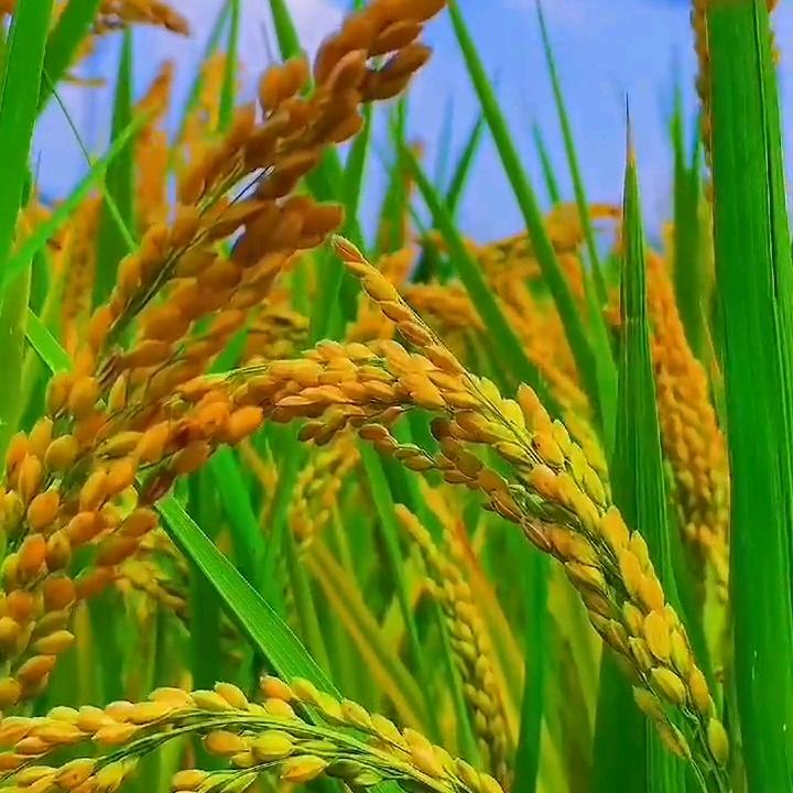 ∵丶