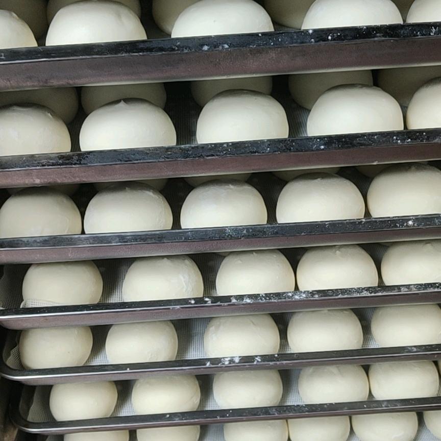 东北朱大姐饺子，纯老料包子馒头