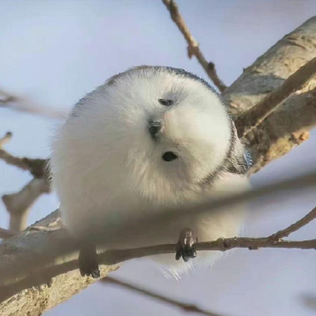 萧韵渊墨