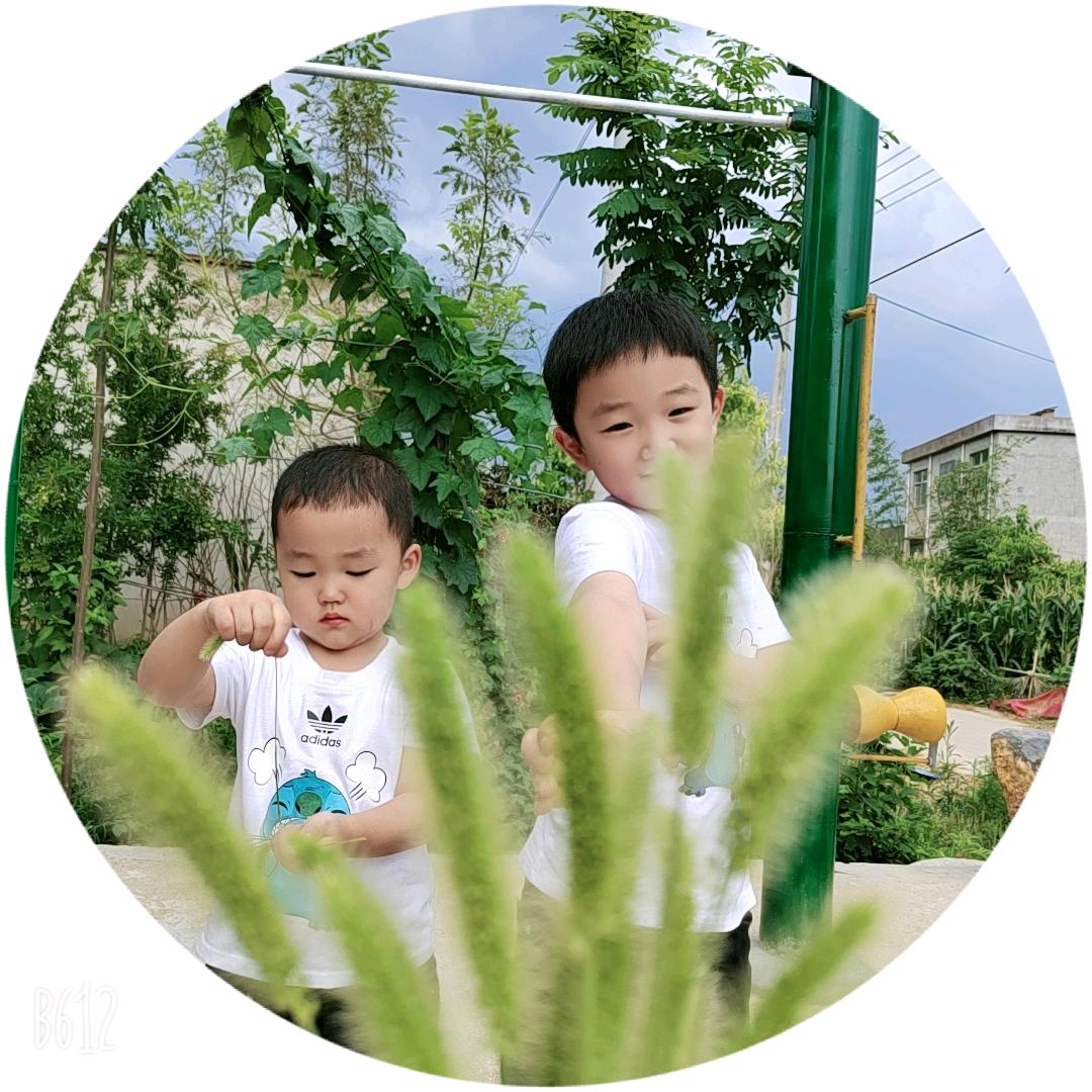 义彤麻麻