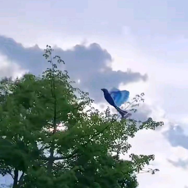 拾钥🌼🌻