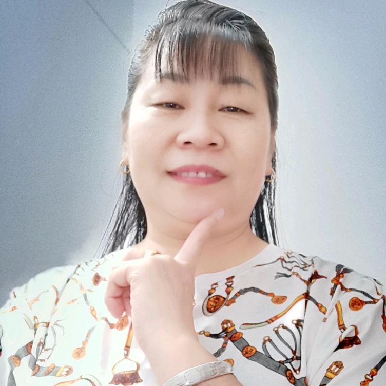 避风港，每天晚上7点50准时开播