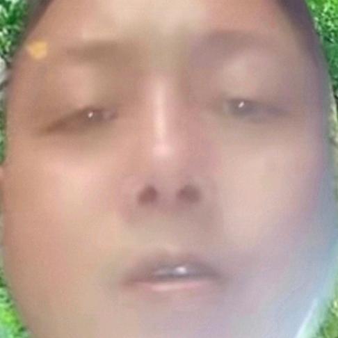 天涯孤鸟