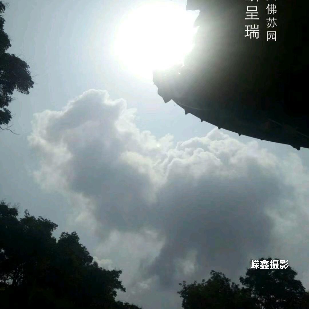 乐山嵘鑫