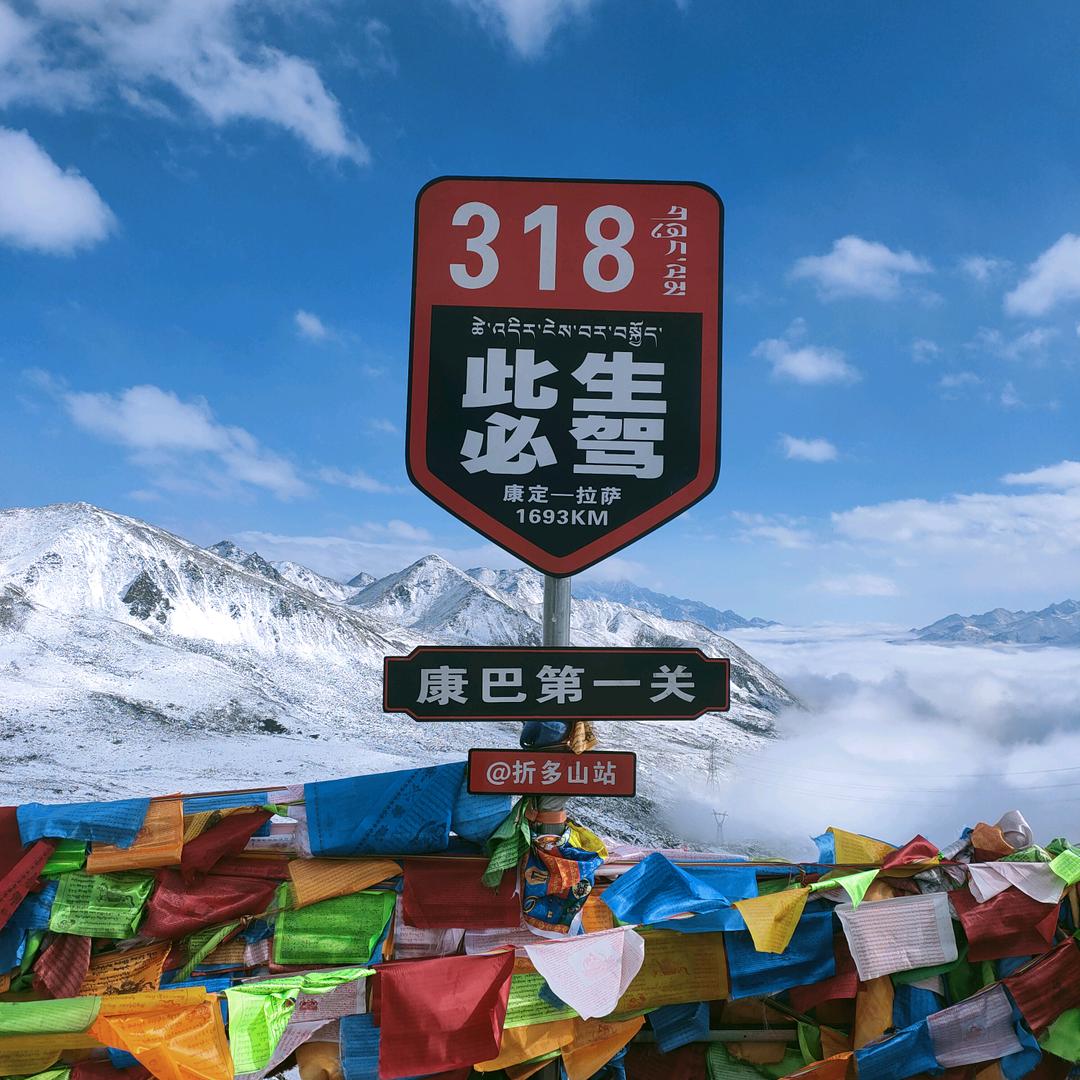 w龙行天下