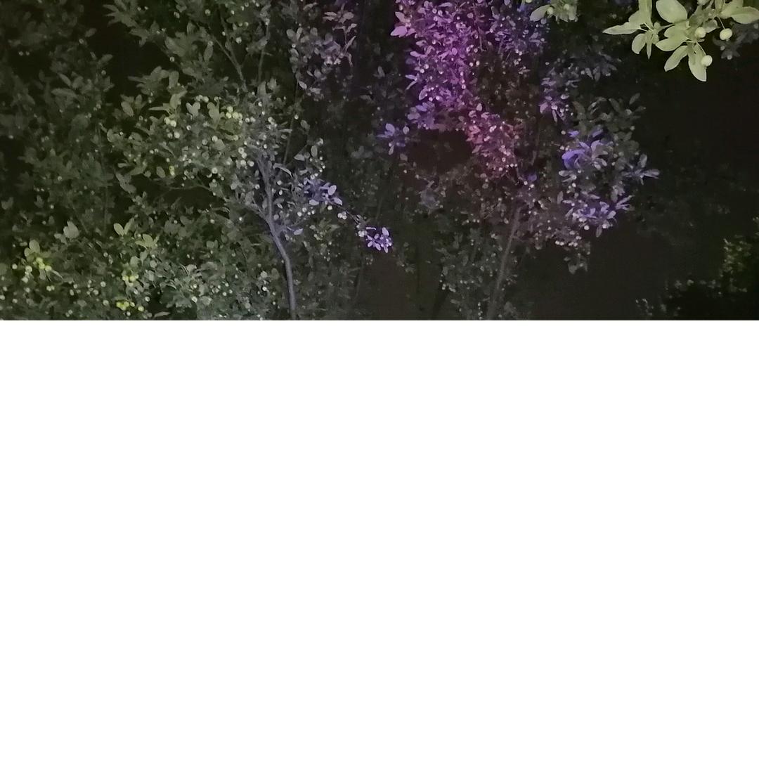 开心每一天😀😀