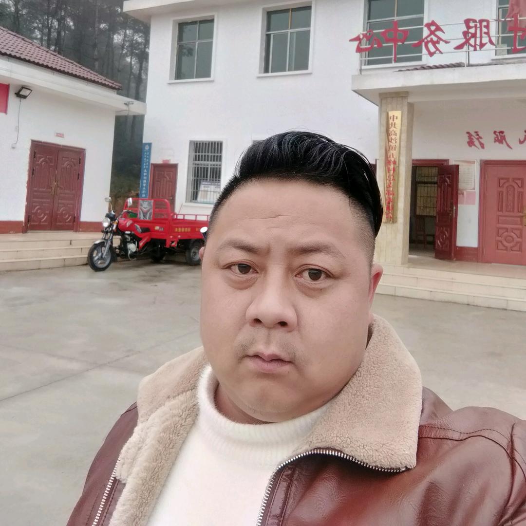 心向光