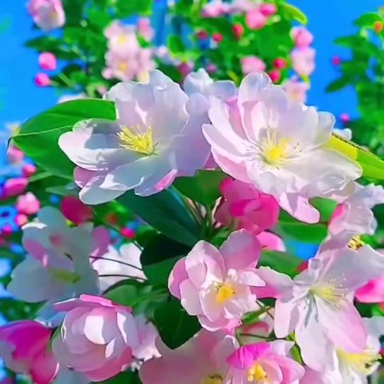 XieXiong~心怡