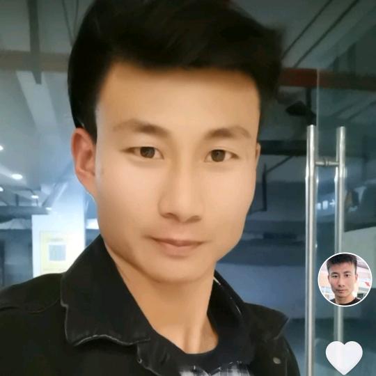 金马冬哥